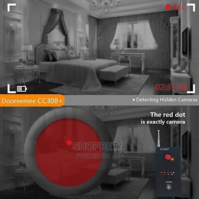 Bug Detectors