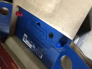 19 Plate Bosch Battery