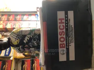 Bosch Car Battery + 17 Plate