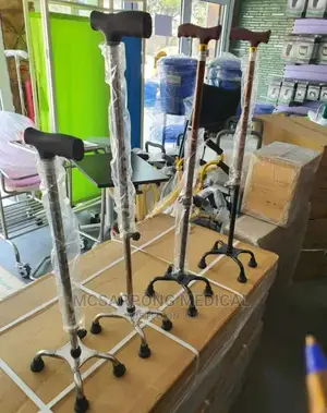 Walking Sticks (Crutches)