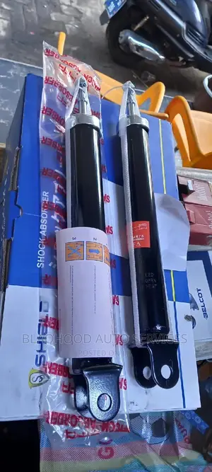 Hyundai Sonata/Elantra/Tucson/Santa Fe Back Shock Absorbers