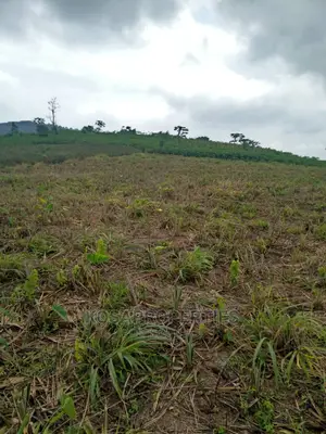 Service Land for Sale at Kasoa Kweikrom
