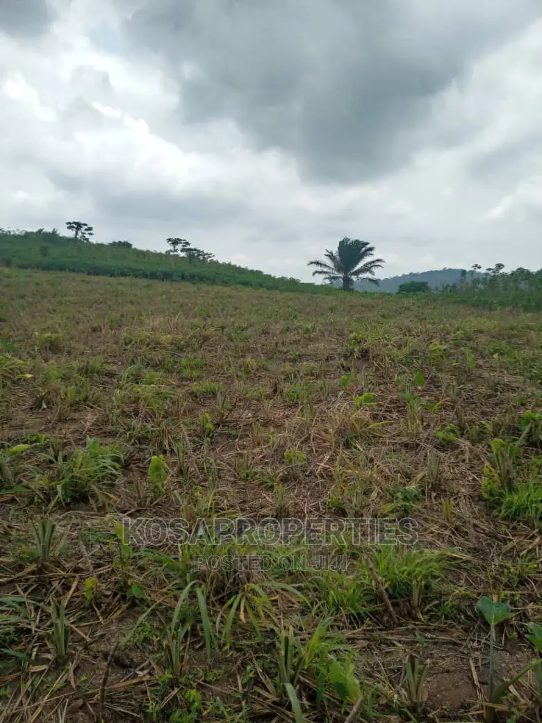 Service Land for Sale at Kasoa Kweikrom