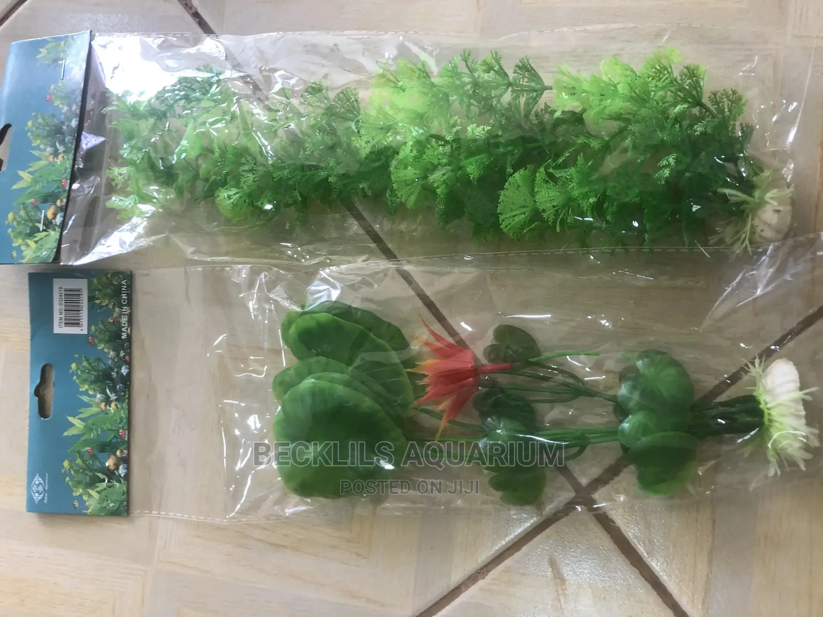 Aquarium Plant -2