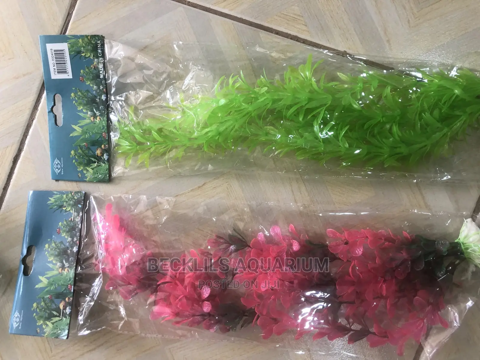 Aquarium Plant -2
