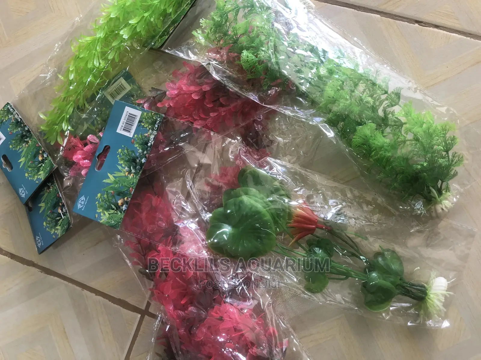 Aquarium Plant -2