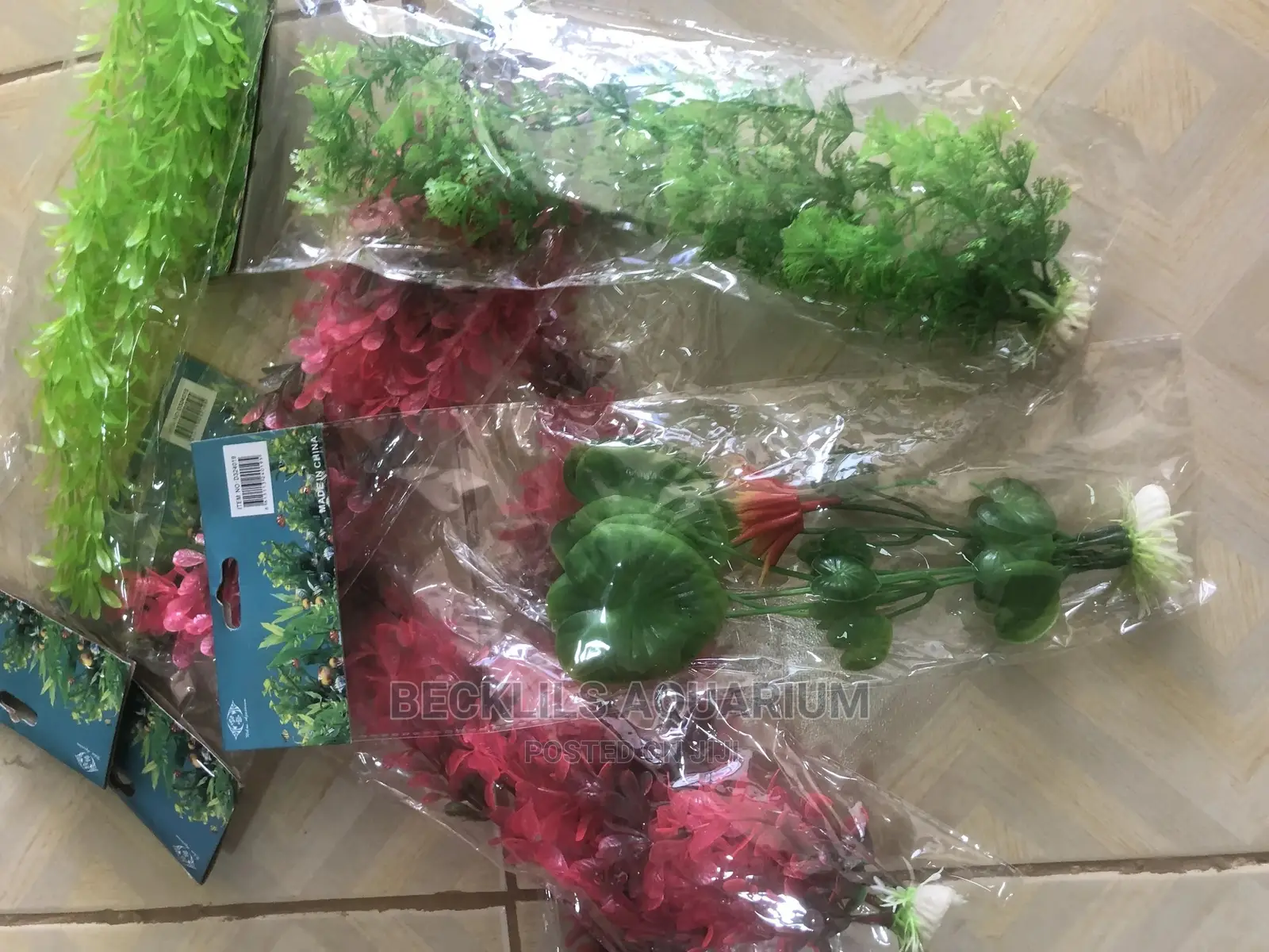 Aquarium Plant -2