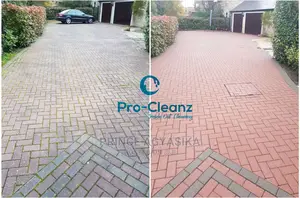 Professional Cleaning Company
