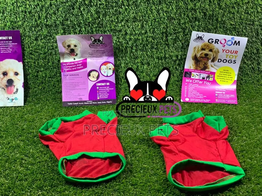 Toy Dog Clothings Series 8