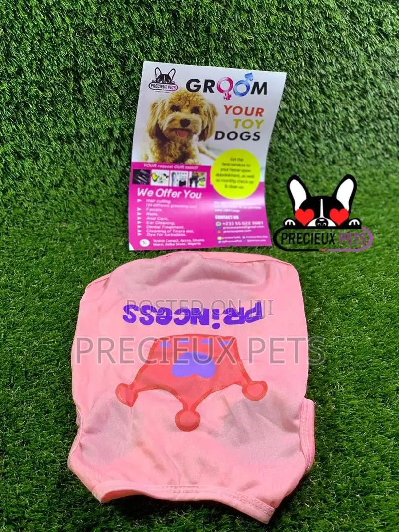 Toy Dog Clothings Series 10