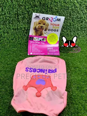Toy Dog Clothings Series 10