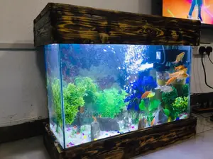 Mini Design Aquarium
