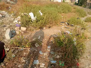 A Genuine Half of Plot for Sale at Teshie Lekma