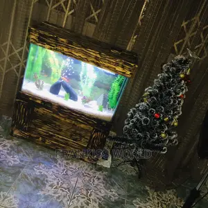 Aquarium for Sale