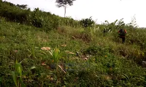 Plots of Land for Sale at Sasaabi.