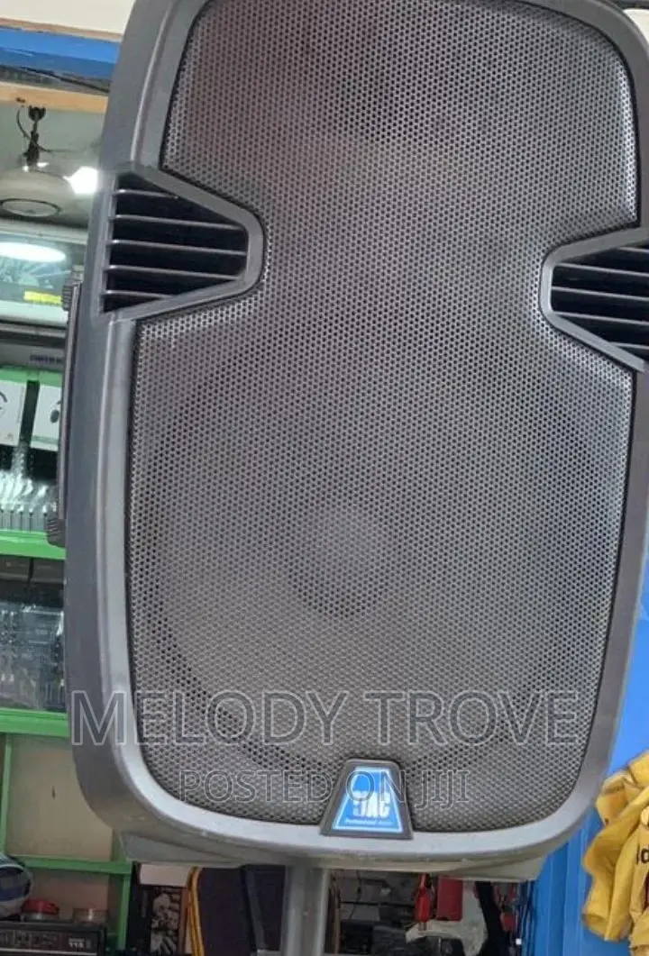Jac 12inches Rechargeable Bluetooth Speakers