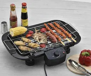Electric Barbecue Grill