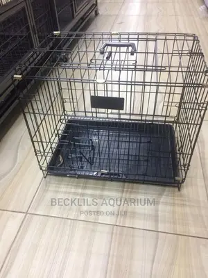 Bird Cages