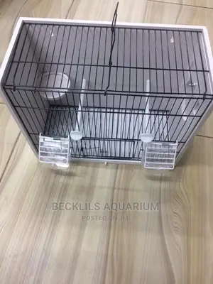 Bird Cages