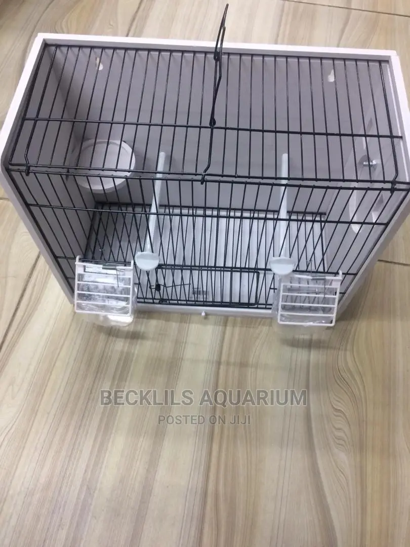Bird Cages