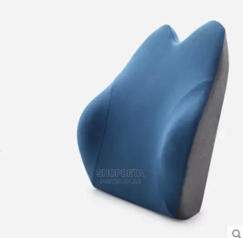 Back Rest With Memory Foam for Back Support