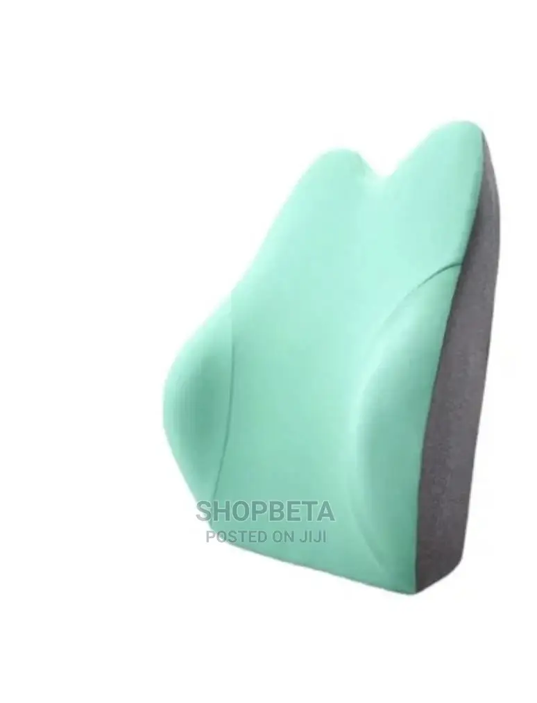 Back Rest With Memory Foam for Back Support