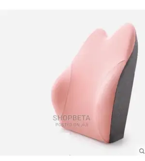 Back Rest With Memory Foam for Back Support