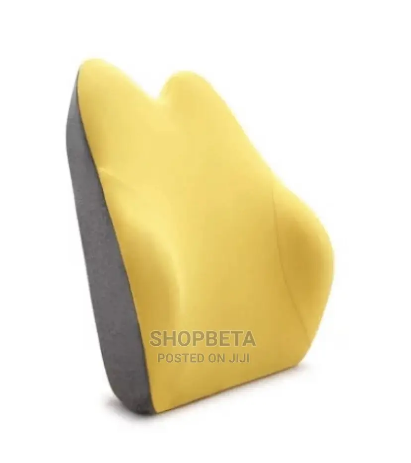 Back Rest With Memory Foam for Back Support