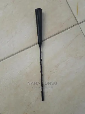 Chevrolet Spark Radio Antenna