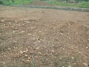 Registed Plot at Dodowa