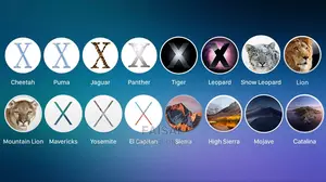 Any Type of Macos Installation Available