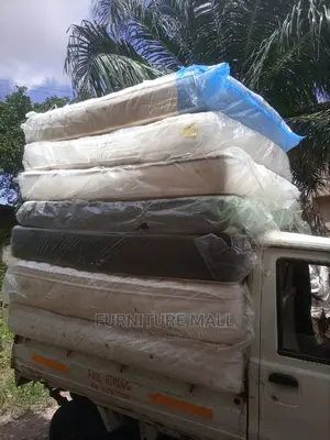 Doctors Recommended 60x80 Queen Size Mattress . 13 Inc