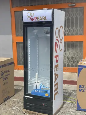 Display All Your Drinks With the Pear 278 Litres Fridge