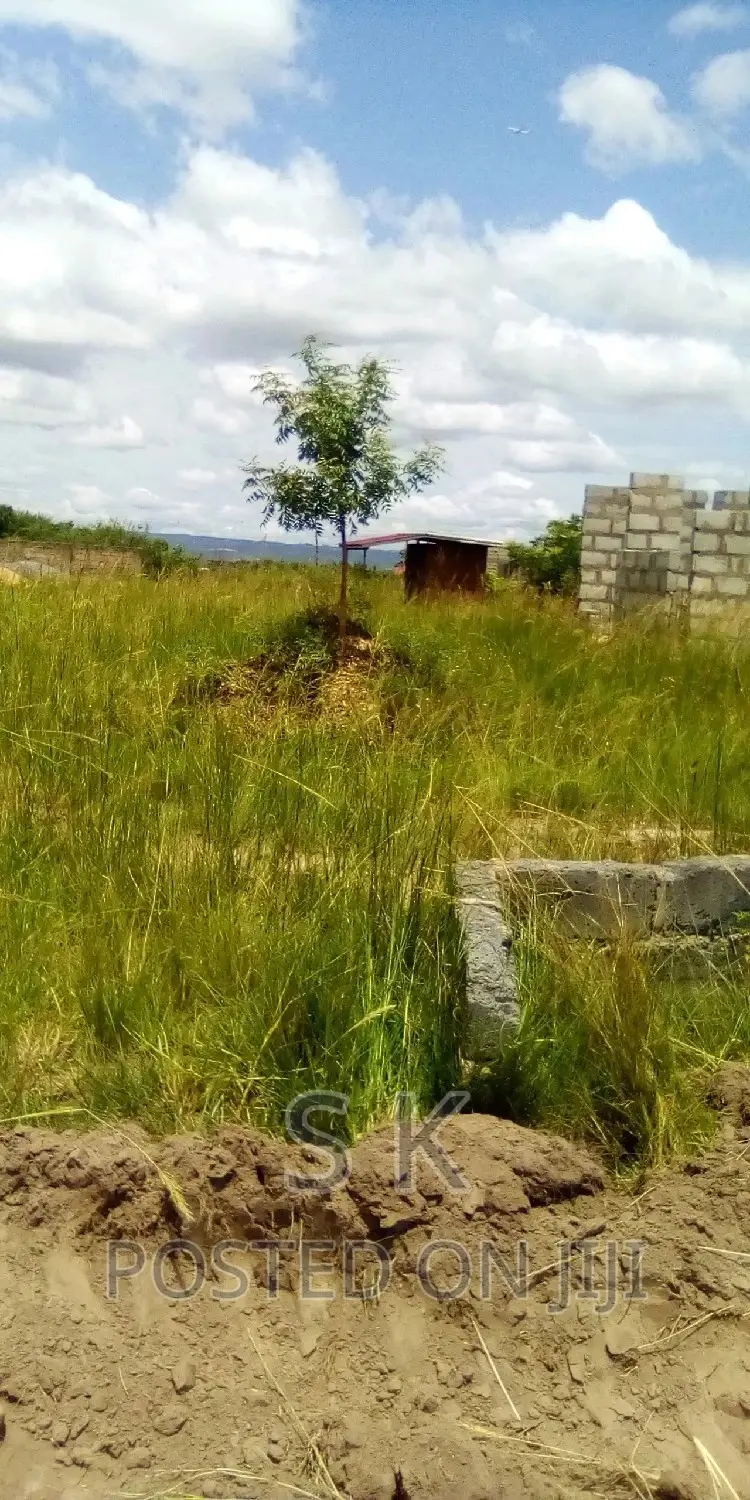 1 Plot of Land for Sale at Doryiumu Downtown