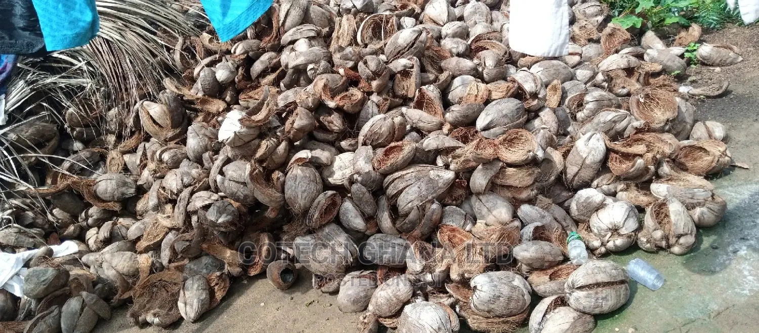 Treated and Non Treated Coconut Fiber and Bio Enzymes
