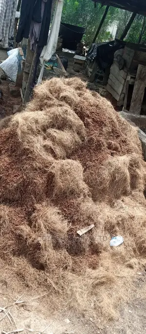 Treated and Non Treated Coconut Fiber and Bio Enzymes