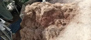 Treated and Non Treated Coconut Fiber and Bio Enzymes