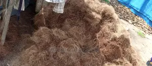 Treated and Non Treated Coconut Fiber and Bio Enzymes