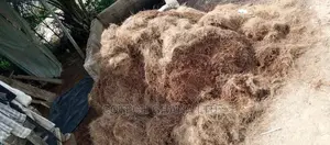 Treated and Non Treated Coconut Fiber and Bio Enzymes