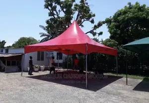 Canopy for Cars