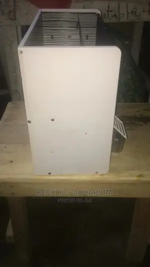 Bird Cages