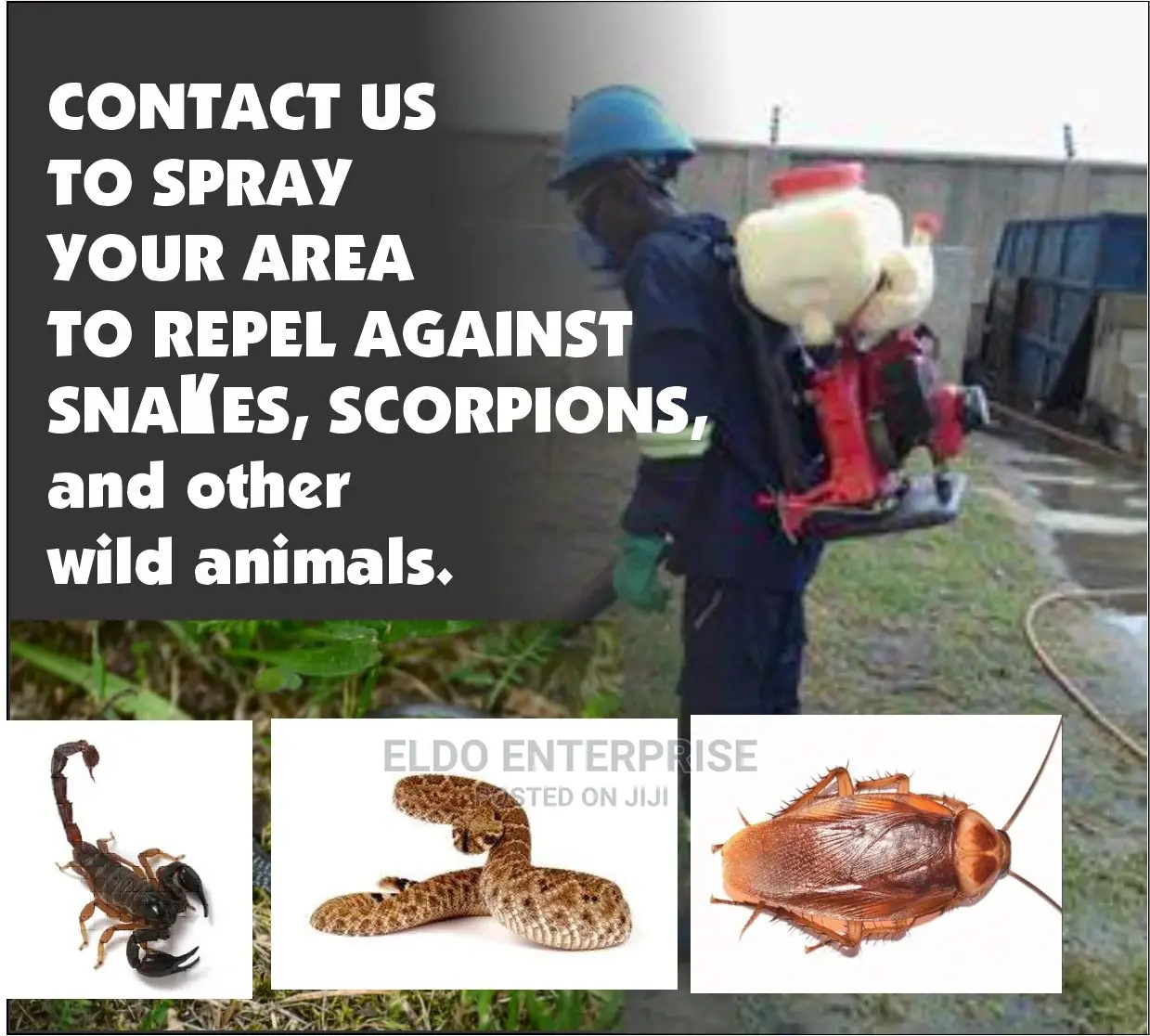 Snake And Scorpion Fumigation