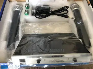 Professional Wireless Microphone
