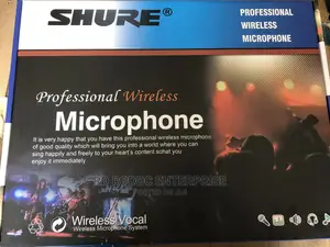 Professional Wireless Microphone