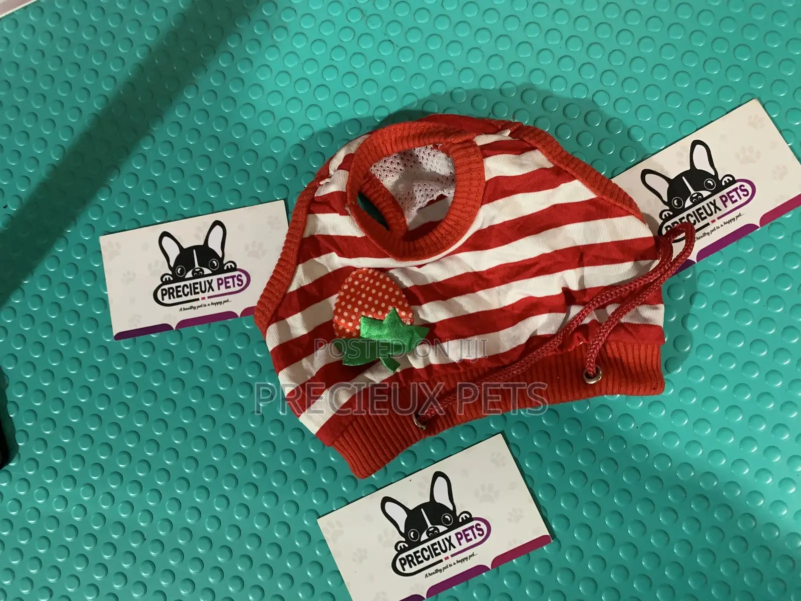 Toy Dog Clothings Series 26