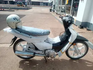 Luojia 110cc 2020 Black
