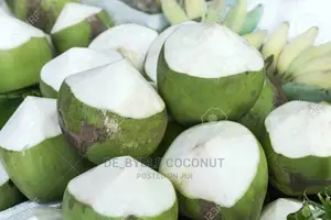 Fresh Coconut Delivery Service