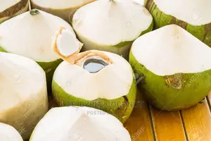 Fresh Coconut Delivery Service