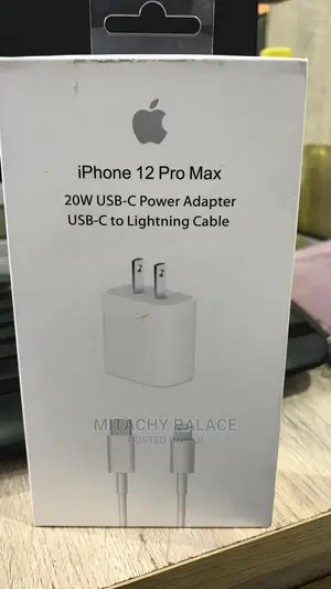 Original iPhone 12 Pro Max Charger