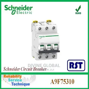 63A Schneider Circuit Breaker